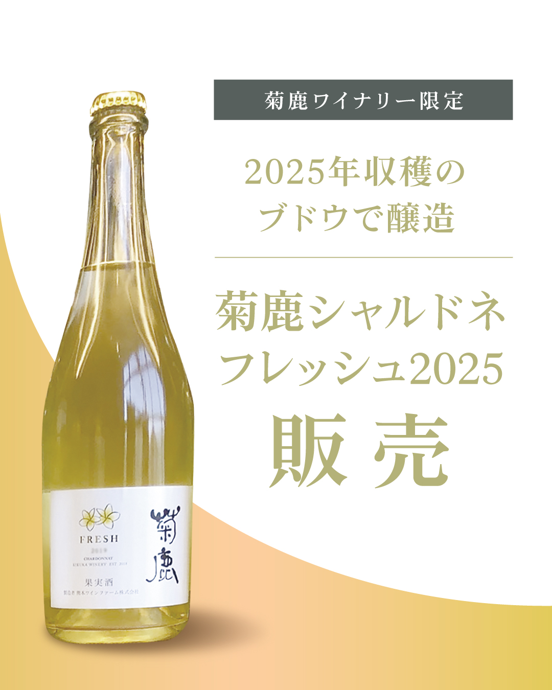 菊鹿シャルドネフレッシュ2025販売
